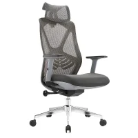 Ergonomic Mesh High-Back Office Chair with Adjustable Headrest and Silent Casters