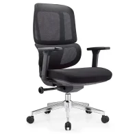 Ergonomic Mesh High-Back Office Chair with Armrests