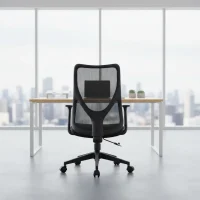Ergonomic Mesh Office Chair