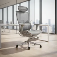 Ergonomic Mesh Office Chair with Adjustable Headrest