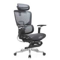 Ergonomic Mesh Office Chair with Lumbar Support