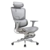 Ergonomic Office Chair with Adjustable Headrest