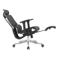 Ergonomic Mesh Office Chair with Adjustable Headrest and Footrest