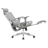 Ergonomic Mesh Office Chair with Adjustable Headrest and Footrest