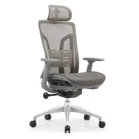 Ergonomic Mesh Office Chair with Adjustable Headrest and Lumbar Support