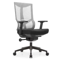 Ergonomic Mesh Office Chair with Armrests and Silent Casters