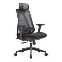 Ergonomic Mesh Office Chair with Headrest and Armrests