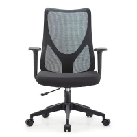 Ergonomic Mesh High-Back Office Chair with Lumbar Support