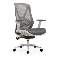 Ergonomic Mesh Office Chair with Lumbar Support and Armrests