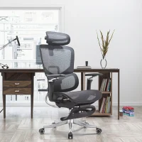 Ergonomic Mesh Office Chair with Lumbar Support and Armrests