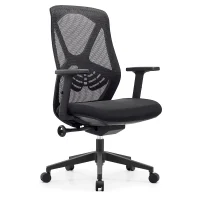 Ergonomic High-Back Office Chair with Lumbar Support