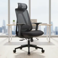 Ergonomic Mesh Office Chair with Lumbar Support and Cushioned Seat