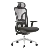 Ergonomic Mesh Office Chair with Silent Casters