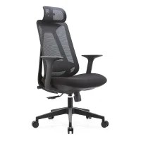Ergonomic Mesh Office Chair with Headrest