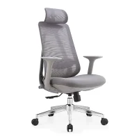 Ergonomic Mesh Office Chair with Silent Casters