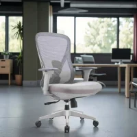 Ergonomic Office Chair