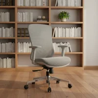 Ergonomic Office Chair