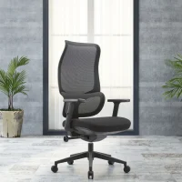 Ergonomic Office Chair