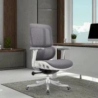 Mesh Office Chair with Double-Waist Backrest