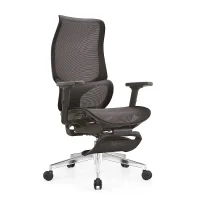 Mesh Office Chair with Lumbar Support and Silent Casters