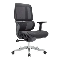 Mesh Office Chair with Silent Casters and Double-Waist Backrest