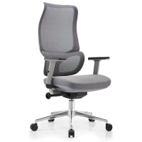 Mesh Swivel Office Chair