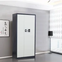 Two-Door Password Filing Cabinet with Adjustable Shelves (1850×900×420mm)
